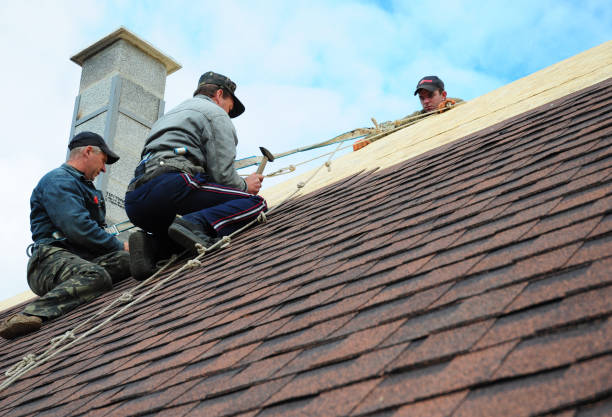 Best Local Roofing Companies  in Ralls, TX