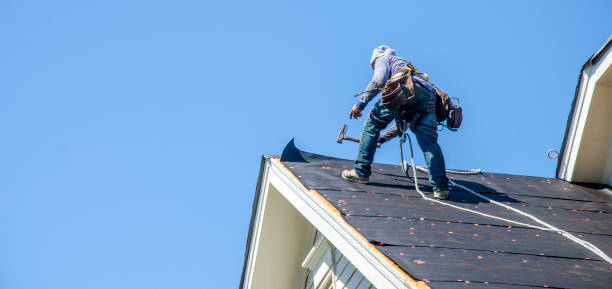 Best Roof Repair Services  in Ralls, TX